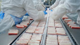 Άνθρωποι στα ένα τεθειμένα εργοστάσιο προϊόντα στους πλαστικούς δίσκους απόθεμα βίντεο Άνθρωποι στα ένα τεθειμένα εργοστάσιο προϊόντα στους πλαστικούς δίσκους απόθεμα βίντεο