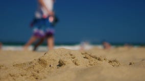 Άνθρωποι στην αμμώδη παραλία απόθεμα βίντεο Άνθρωποι στην αμμώδη παραλία απόθεμα βίντεο
