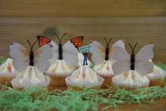 Άνοιξη cupcakes που ολοκληρώνεται με τις διακοσμήσεις των μορφών πεταλούδων σε ένα αγροτικό ξύλινο υπόβαθρο Στοκ Εικόνα Άνοιξη cupcakes που ολοκληρώνεται με τις διακοσμήσεις των μορφών πεταλούδων σε ένα αγροτικό ξύλινο υπόβαθρο Στοκ Εικόνα