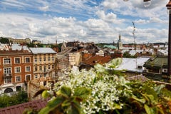 Άποψη πόλεων Lviv, παλαιές στέγες, πανόραμα του ιστορικού κέντρου πόλεων στοκ εικόνα με δικαίωμα ελεύθερης χρήσης Άποψη πόλεων Lviv, παλαιές στέγες, πανόραμα του ιστορικού κέντρου πόλεων στοκ εικόνα με δικαίωμα ελεύθερης χρήσης