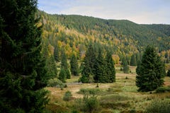 Άποψη στο Schwarzwald στη Γερμανία στοκ εικόνες Άποψη στο Schwarzwald στη Γερμανία στοκ εικόνες