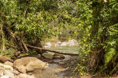 Άποψη σχετικά με εθνικό park alejandro de humboldt με τον ποταμό Κούβα στοκ φωτογραφία με δικαίωμα ελεύθερης χρήσης Άποψη σχετικά με εθνικό park alejandro de humboldt με τον ποταμό Κούβα στοκ φωτογραφία με δικαίωμα ελεύθερης χρήσης