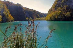 Άποψη σχετικά με τις λίμνες Κροατία Plitvice στοκ εικόνα Άποψη σχετικά με τις λίμνες Κροατία Plitvice στοκ εικόνα