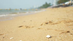 Άποψη της αστικής ασιατικής παραλίας, ανάχωμα 4K θαμπάδα, υπόβαθρο φιλμ μικρού μήκους Άποψη της αστικής ασιατικής παραλίας, ανάχωμα 4K θαμπάδα, υπόβαθρο φιλμ μικρού μήκους