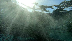 Άποψη του ήλιου και του ουρανού από κάτω από το νερό, σε αργή κίνηση απόθεμα βίντεο Άποψη του ήλιου και του ουρανού από κάτω από το νερό, σε αργή κίνηση απόθεμα βίντεο