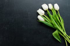 Άσπρες τουλίπες σε ένα σκοτεινό υπόβαθρο με το διάστημα αντιγράφων στοκ εικόνα με δικαίωμα ελεύθερης χρήσης Άσπρες τουλίπες σε ένα σκοτεινό υπόβαθρο με το διάστημα αντιγράφων στοκ εικόνα με δικαίωμα ελεύθερης χρήσης