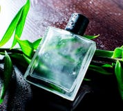 Άτομο parfume Στοκ Φωτογραφίες Άτομο parfume Στοκ Φωτογραφίες