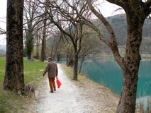 Άτομο με το σκυλί κοντά στη λίμνη βουνών με το τυÏκουάζ μπλε νεÏÏŒ και τΠστοκ φωτογραφία Άτομο με το σκυλί κοντά στη λίμνη βουνών με το τυÏκουάζ μπλε νεÏÏŒ και τΠστοκ φωτογραφία