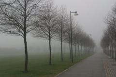 Ένα misty roud με τους λαμπτήρες οδών και τα δέντρα στοκ φωτογραφίες με δικαίωμα ελεύθερης χρήσης Ένα misty roud με τους λαμπτήρες οδών και τα δέντρα στοκ φωτογραφίες με δικαίωμα ελεύθερης χρήσης
