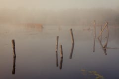 Ένα misty πρωί από τη λίμνη Διάστημα για το κείμενο στοκ φωτογραφίες με δικαίωμα ελεύθερης χρήσης Ένα misty πρωί από τη λίμνη Διάστημα για το κείμενο στοκ φωτογραφίες με δικαίωμα ελεύθερης χρήσης