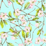 Ένα άνευ ραφής floral σχέδιο με μια διακόσμηση ενός κλάδου δέντρων μηλιάς με τα τρυφερά ρόδινα ανθίζοντας λουλούδια και τα πράσιν απεικόνιση αποθεμάτων Ένα άνευ ραφής floral σχέδιο με μια διακόσμηση ενός κλάδου δέντρων μηλιάς με τα τρυφερά ρόδινα ανθίζοντας λουλούδια και τα πράσιν απεικόνιση αποθεμάτων