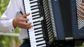 Ένα ενήλικο άτομο παίζει ένα ακκορντέον Μουσικό παιχνίδι κουαρτέτων Οι μουσικοί αποδίδουν στη συναυλία Ο μουσικός παίζει φιλμ μικρού μήκους Ένα ενήλικο άτομο παίζει ένα ακκορντέον Μουσικό παιχνίδι κουαρτέτων Οι μουσικοί αποδίδουν στη συναυλία Ο μουσικός παίζει φιλμ μικρού μήκους