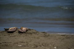 Ένα ζευγάρι των πτώσεων κτυπήματος στην άμμο παραλιών στοκ φωτογραφίες Ένα ζευγάρι των πτώσεων κτυπήματος στην άμμο παραλιών στοκ φωτογραφίες
