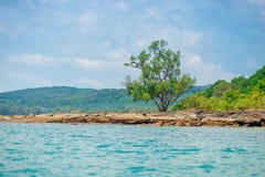 Ένα μικρό δέντρο σε μια εγκαταλειμμένη δύσκολη παραλία τροπικού ενός ακατοίκητου στοκ φωτογραφία με δικαίωμα ελεύθερης χρήσης Ένα μικρό δέντρο σε μια εγκαταλειμμένη δύσκολη παραλία τροπικού ενός ακατοίκητου στοκ φωτογραφία με δικαίωμα ελεύθερης χρήσης