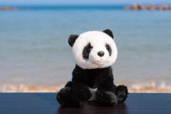Ένα χαριτωμένο panda γέμισε τη συνεδρίαση παιχνιδιών σε έναν ξύλινο πίνακα στην παραλία με την μπλε θάλασσα στο διάστημα υποβάθρο στοκ φωτογραφία με δικαίωμα ελεύθερης χρήσης Ένα χαριτωμένο panda γέμισε τη συνεδρίαση παιχνιδιών σε έναν ξύλινο πίνακα στην παραλία με την μπλε θάλασσα στο διάστημα υποβάθρο στοκ φωτογραφία με δικαίωμα ελεύθερης χρήσης