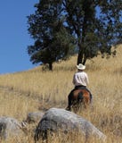 Ένας κάουμποϋ που οδηγά σε έναν τομέα με τα δέντρα επάνω ένα ίχνος βουνών στοκ φωτογραφίες με δικαίωμα ελεύθερης χρήσης Ένας κάουμποϋ που οδηγά σε έναν τομέα με τα δέντρα επάνω ένα ίχνος βουνών στοκ φωτογραφίες με δικαίωμα ελεύθερης χρήσης