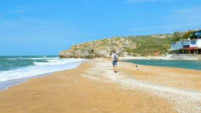 Ένας νεαρός άνδρας περπατά με ένα σκυλί κατά μήκος της παραλίας φιλμ μικρού μήκους Ένας νεαρός άνδρας περπατά με ένα σκυλί κατά μήκος της παραλίας φιλμ μικρού μήκους