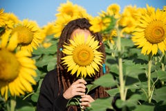 Έφηβος με τα dreadlocks που κρύβουν το θερινό πρωί σε έναν τομέα με τους ηλίανθους στοκ εικόνες με δικαίωμα ελεύθερης χρήσης Έφηβος με τα dreadlocks που κρύβουν το θερινό πρωί σε έναν τομέα με τους ηλίανθους στοκ εικόνες με δικαίωμα ελεύθερης χρήσης