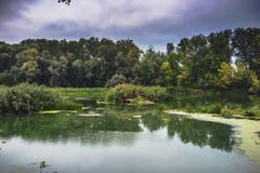 Ήρεμος ποταμός το θερινό πρωί με τα πράσινα δέντρα στο υπόβαθρο στοκ εικόνες Ήρεμος ποταμός το θερινό πρωί με τα πράσινα δέντρα στο υπόβαθρο στοκ εικόνες