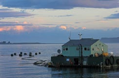 Αγροκτήματα ψαριών στο νησί Chiloe, Χιλή στοκ φωτογραφία με δικαίωμα ελεύθερης χρήσης Αγροκτήματα ψαριών στο νησί Chiloe, Χιλή στοκ φωτογραφία με δικαίωμα ελεύθερης χρήσης