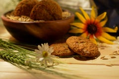 Αγροτική ακόμα ζωή με oatmeal τα μπισκότα, τα σιτάρια βρωμών και τα wildflowers Στοκ φωτογραφία με δικαίωμα ελεύθερης χρήσης Αγροτική ακόμα ζωή με oatmeal τα μπισκότα, τα σιτάρια βρωμών και τα wildflowers Στοκ φωτογραφία με δικαίωμα ελεύθερης χρήσης