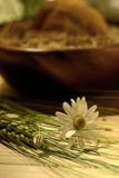 Αγροτική ακόμα ζωή με oatmeal τα μπισκότα, τα σιτάρια βρωμών και τα wildflowers Στοκ Εικόνες Αγροτική ακόμα ζωή με oatmeal τα μπισκότα, τα σιτάρια βρωμών και τα wildflowers Στοκ Εικόνες