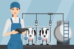 Αγρότης γυναικών με την ταμπλέτα σε ένα σύγχρονο γαλακτοκομικό αγρόκτημα απεικόνιση αποθεμάτων Αγρότης γυναικών με την ταμπλέτα σε ένα σύγχρονο γαλακτοκομικό αγρόκτημα απεικόνιση αποθεμάτων