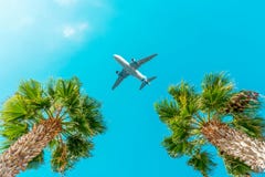 Αεροπλάνο επιβατών που πετά επάνω από τους φοίνικες ενάντια στο μπλε ουρανό στοκ εικόνα Αεροπλάνο επιβατών που πετά επάνω από τους φοίνικες ενάντια στο μπλε ουρανό στοκ εικόνα