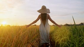 Αισθησιακή νέα γυναίκα στο άσπρο φόρεμα που απολαμβάνει ιώδες lavender που αρχειοθετείται στο όμορφο θερινό ηλιοβασίλεμα Νέα θηλυ φιλμ μικρού μήκους Αισθησιακή νέα γυναίκα στο άσπρο φόρεμα που απολαμβάνει ιώδες lavender που αρχειοθετείται στο όμορφο θερινό ηλιοβασίλεμα Νέα θηλυ φιλμ μικρού μήκους