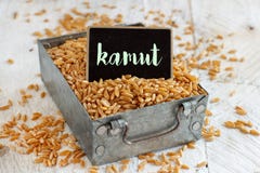 Ακατέργαστο σιτάρι Kamut σε ένα κιβώτιο μετάλλων στοκ εικόνες Ακατέργαστο σιτάρι Kamut σε ένα κιβώτιο μετάλλων στοκ εικόνες