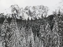 Αλπικό τοπίο των δολομιτών με το χιόνι Trentino στοκ εικόνα Αλπικό τοπίο των δολομιτών με το χιόνι Trentino στοκ εικόνα