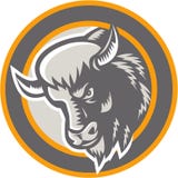 Αμερικανικός επικεφαλής κύκλος βισώνων Buffalo αναδρομικός Στοκ φωτογραφίες με δικαίωμα ελεύθερης χρήσης Αμερικανικός επικεφαλής κύκλος βισώνων Buffalo αναδρομικός Στοκ φωτογραφίες με δικαίωμα ελεύθερης χρήσης