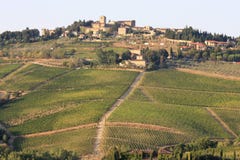 Αμπελώνες Radda σε Chianti, Τοσκάνη, Ιταλία στοκ φωτογραφίες με δικαίωμα ελεύθερης χρήσης Αμπελώνες Radda σε Chianti, Τοσκάνη, Ιταλία στοκ φωτογραφίες με δικαίωμα ελεύθερης χρήσης