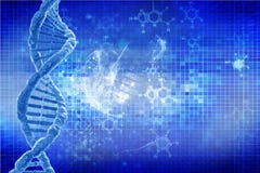 Ανθρώπινο DNA απεικόνιση αποθεμάτων Ανθρώπινο DNA απεικόνιση αποθεμάτων