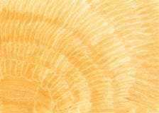 Ανώμαλος χρωματισμένος κίτρινος, ocher, καναρίνι, χρυσό υπόβαθρο διανυσματική απεικόνιση Ανώμαλος χρωματισμένος κίτρινος, ocher, καναρίνι, χρυσό υπόβαθρο διανυσματική απεικόνιση