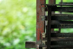 Απαρίθμηση εστίασης των ξύλινων σκαλοπατιών Και οι εικόνες υποβάθρου είναι δέντρα και φύση στοκ φωτογραφία με δικαίωμα ελεύθερης χρήσης Απαρίθμηση εστίασης των ξύλινων σκαλοπατιών Και οι εικόνες υποβάθρου είναι δέντρα και φύση στοκ φωτογραφία με δικαίωμα ελεύθερης χρήσης