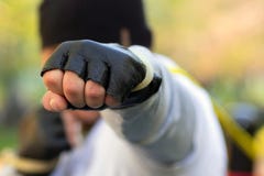 E r στοκ εικόνες με δικαίωμα ελεύθερης χρήσης E r στοκ εικόνες με δικαίωμα ελεύθερης χρήσης
