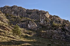Απομονωμένο δέντρο στην πλευρά ενός λόφου με τους βράχους και τη χλόη, μπλε ουρανοί, betlem, Μαγιόρκα, Ισπανία στοκ φωτογραφία Απομονωμένο δέντρο στην πλευρά ενός λόφου με τους βράχους και τη χλόη, μπλε ουρανοί, betlem, Μαγιόρκα, Ισπανία στοκ φωτογραφία