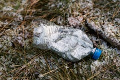 Απόβλητα και σκουπίδια στα δασικά πλαστικά μπουκάλια, τα δοχεία και το γυαλί Στοκ εικόνα με δικαίωμα ελεύθερης χρήσης Απόβλητα και σκουπίδια στα δασικά πλαστικά μπουκάλια, τα δοχεία και το γυαλί Στοκ εικόνα με δικαίωμα ελεύθερης χρήσης