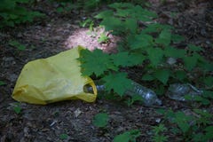 Απόρριψη απορριμάτων στο δάσος στοκ φωτογραφία με δικαίωμα ελεύθερης χρήσης Απόρριψη απορριμάτων στο δάσος στοκ φωτογραφία με δικαίωμα ελεύθερης χρήσης