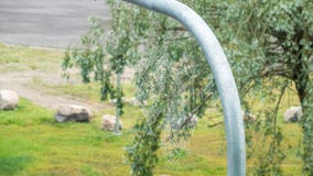 Αράχνη καθαρή με τις πτώσεις βροχής στοκ εικόνα Αράχνη καθαρή με τις πτώσεις βροχής στοκ εικόνα