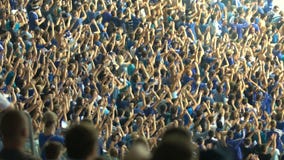 Αρσενικοί υποστηρικτές που χτυπούν τα χέρια, ενθαρρυντικά για την εθνική ομάδα ποδοσφαίρου στο στάδιο απόθεμα βίντεο Αρσενικοί υποστηρικτές που χτυπούν τα χέρια, ενθαρρυντικά για την εθνική ομάδα ποδοσφαίρου στο στάδιο απόθεμα βίντεο