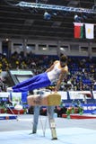 Αρσενικός gymnast που αποδίδει στο άλογο λαβών ξίφους στοκ εικόνα Αρσενικός gymnast που αποδίδει στο άλογο λαβών ξίφους στοκ εικόνα