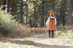 Ασιατικό κορίτσι μικρών παιδιών που περπατά μόνο κατά μια δασική, πίσω άποψη στοκ φωτογραφίες Ασιατικό κορίτσι μικρών παιδιών που περπατά μόνο κατά μια δασική, πίσω άποψη στοκ φωτογραφίες