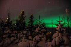 Αυγή Borealis/βόρεια φω'τα επάνω από το ισλανδικό χιονισμένο δάσος στοκ φωτογραφία Αυγή Borealis/βόρεια φω'τα επάνω από το ισλανδικό χιονισμένο δάσος στοκ φωτογραφία