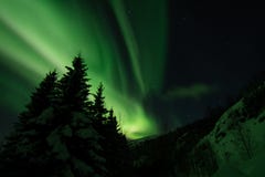 Αυγή Borealis πέρα από Bakkejord, κοντά το Μάρτιο του 2019 Tromso Νορβηγία με τα pinetrees στοκ εικόνα με δικαίωμα ελεύθερης χρήσης Αυγή Borealis πέρα από Bakkejord, κοντά το Μάρτιο του 2019 Tromso Νορβηγία με τα pinetrees στοκ εικόνα με δικαίωμα ελεύθερης χρήσης