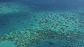 Αυστραλιανή μεγάλη κεραία σκοπέλων εμποδίων από το ελικόπτερο φιλμ μικρού μήκους Αυστραλιανή μεγάλη κεραία σκοπέλων εμποδίων από το ελικόπτερο φιλμ μικρού μήκους