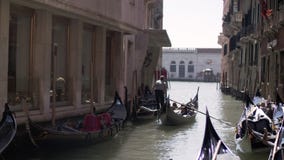 Βάρκες γονδολών με gondolier απόθεμα βίντεο Βάρκες γονδολών με gondolier απόθεμα βίντεο