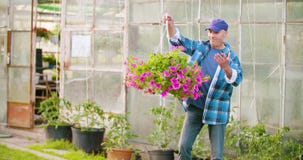 Βέβαιος αρσενικός κηπουρός γεωργίας που εξετάζει τις σε δοχείο εγκαταστάσεις λουλουδιών απόθεμα βίντεο Βέβαιος αρσενικός κηπουρός γεωργίας που εξετάζει τις σε δοχείο εγκαταστάσεις λουλουδιών απόθεμα βίντεο