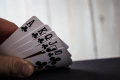 Βασιλική λάμψη σε ένα ξύλινο backgrond στοκ φωτογραφίες με δικαίωμα ελεύθερης χρήσης Βασιλική λάμψη σε ένα ξύλινο backgrond στοκ φωτογραφίες με δικαίωμα ελεύθερης χρήσης